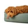Canapé pour chien Soho - 80 x 60 cm - Edition Verte